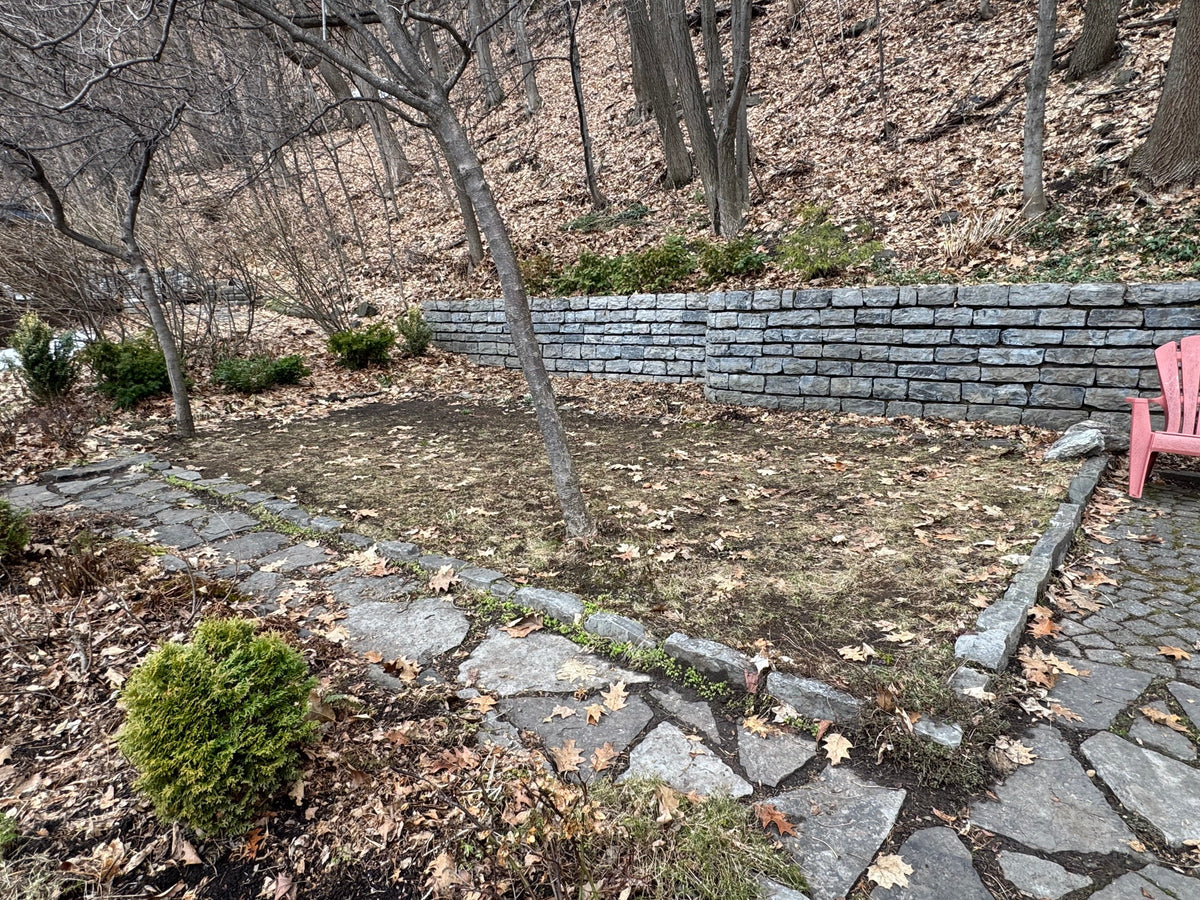 Shaded garden bed with leaf litter beside a stone wall, before moss