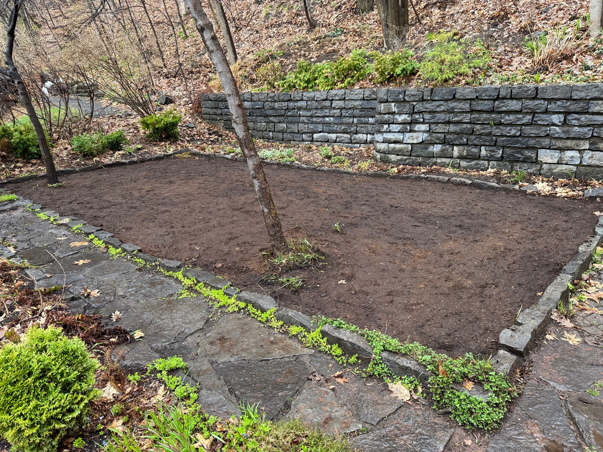 Prepared garden soil ready for a live moss installation