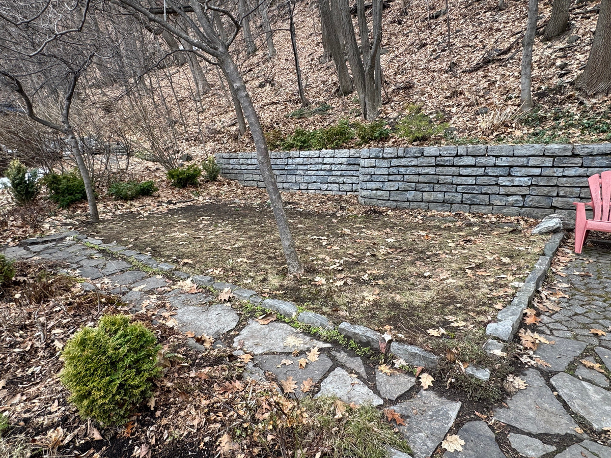 Shaded backyard bed beside a stone retaining wall before moss installation