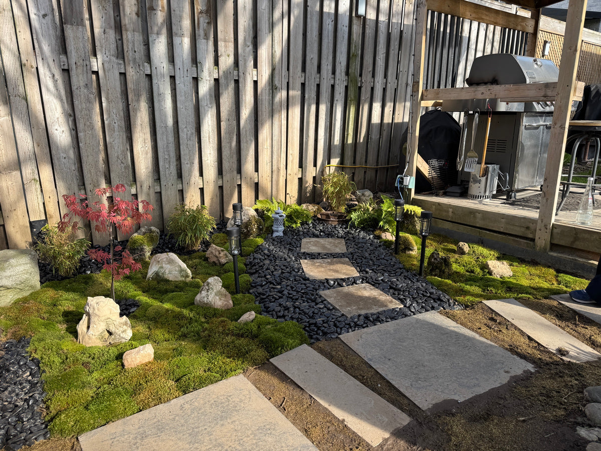 Stepping-stone moss garden with Japanese maple and lanterns