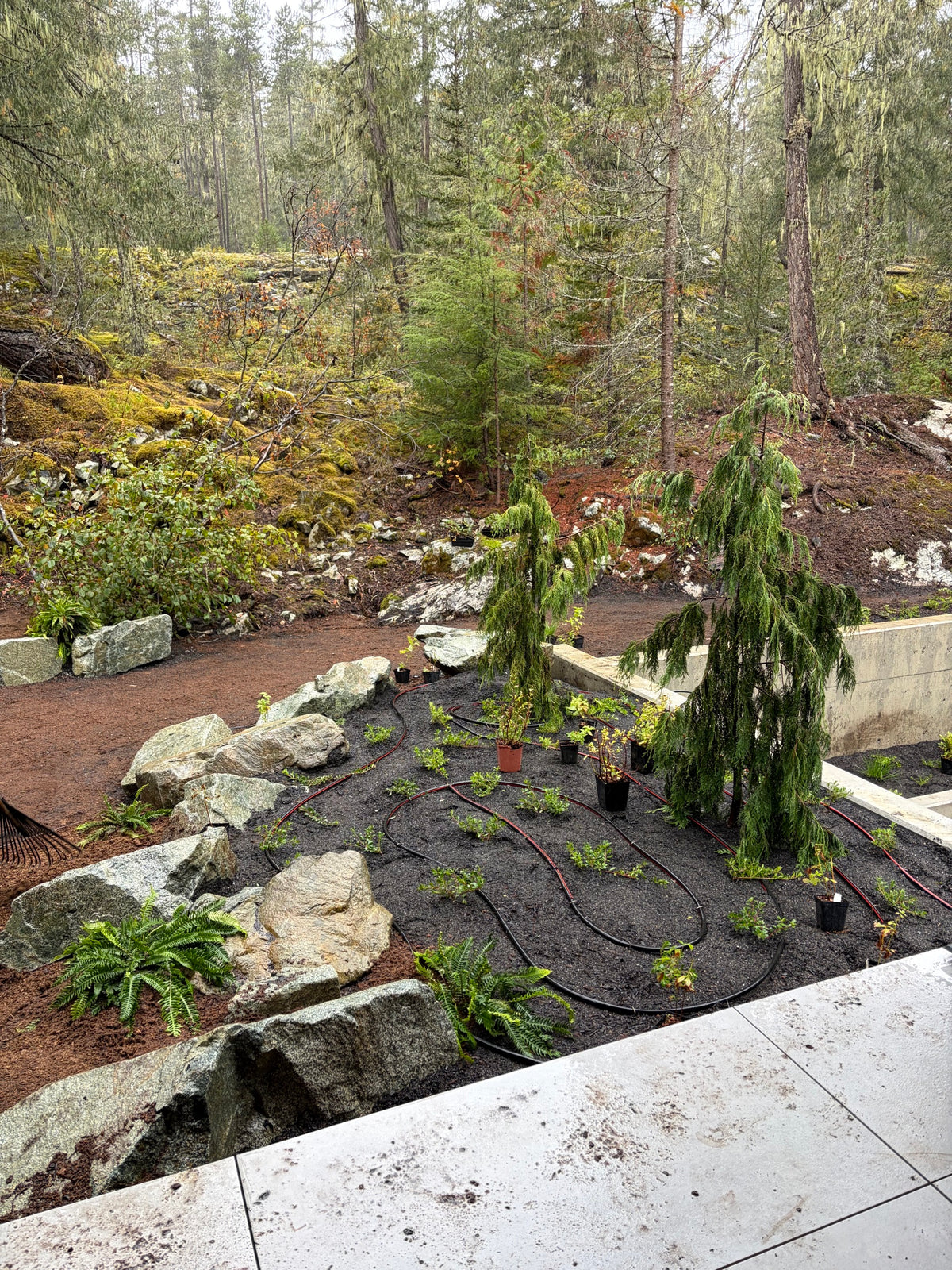 Whistler, BC garden bed before live moss installation